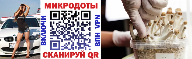 Галлюциногенные грибы мицелий  как найти   Дзержинский 